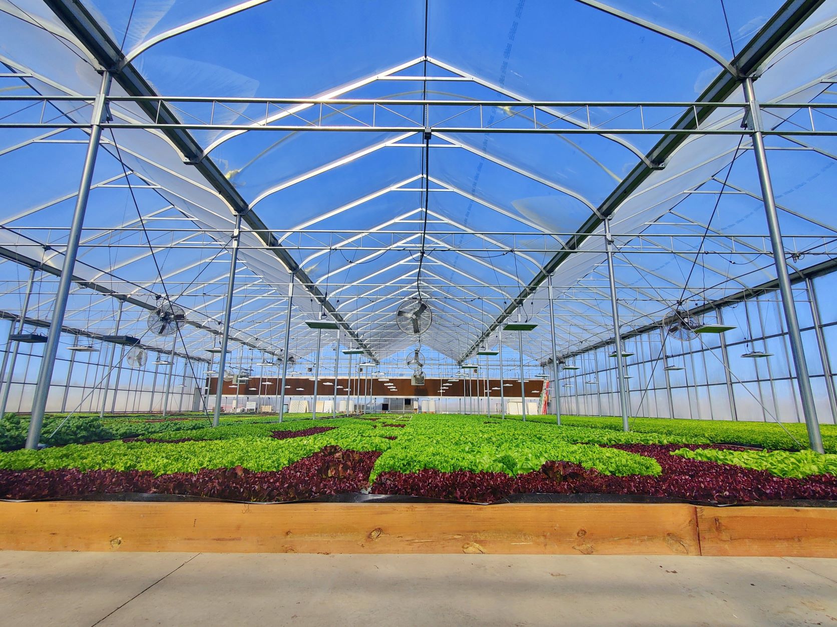 Home of Greybull Valley Produce