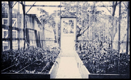 Historic Pan-Am hydroponicum